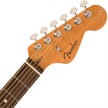 Fender Acoustics Fender HIGHWAY SERIES DREAD All-Mahogany フェンダー 画像3