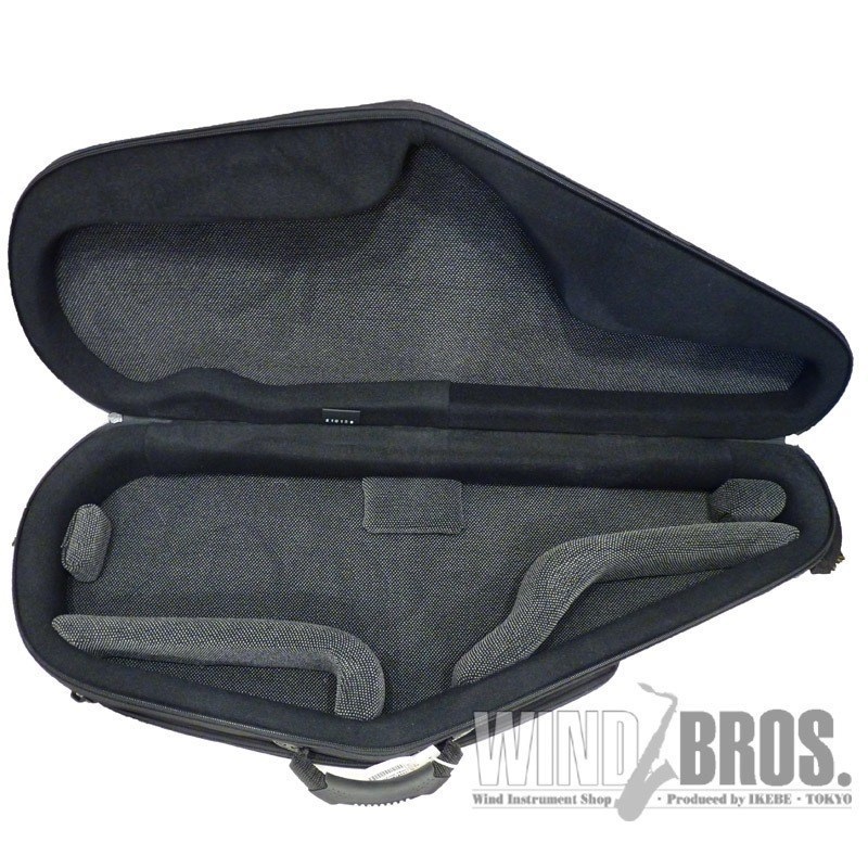 BAGS アルトサックス用ファイバーケース バッグス EFAS INNO BLUE