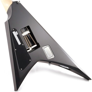 ESP ALEXI RIPPED [Alexi Laiho Model] 画像5