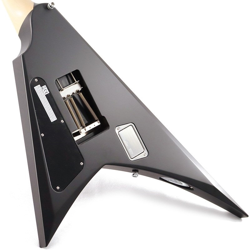 ESP ALEXI RIPPED [Alexi Laiho Model] 画像5