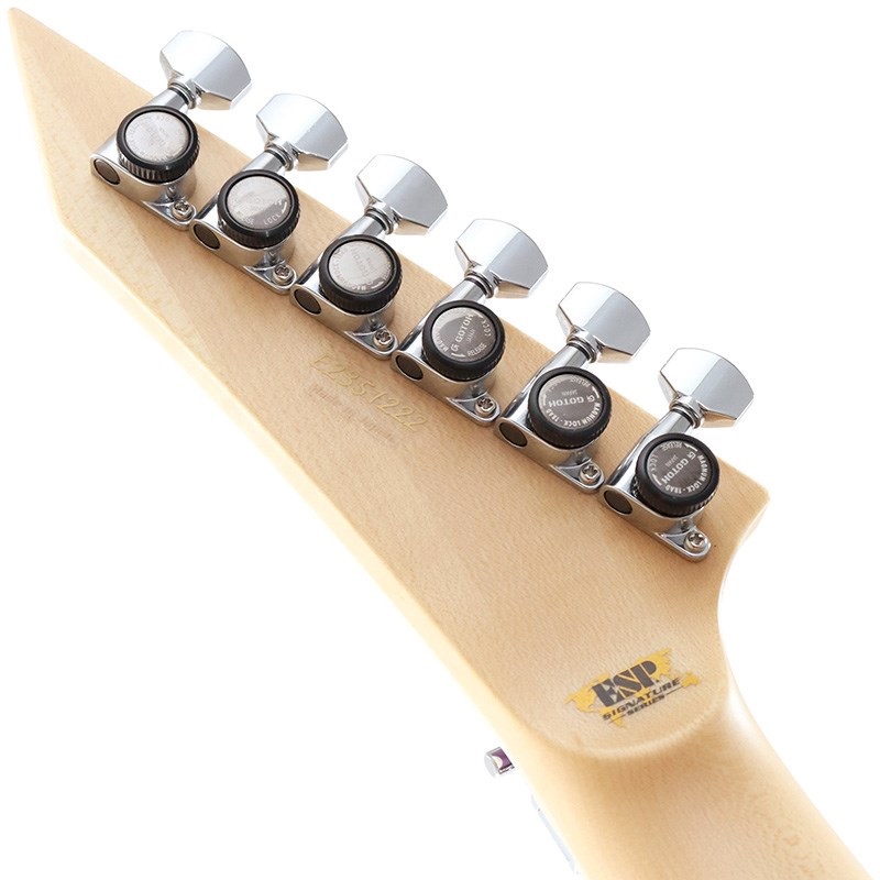 ESP ALEXI RIPPED [Alexi Laiho Model] ｜イケベ楽器店