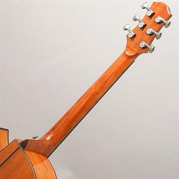 NAGA GUITARS -LIGHT SERIES- S-60GAC 画像9