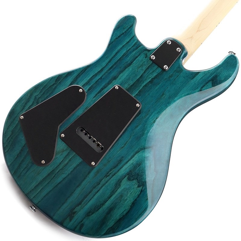 P.R.S. SE Swamp Ash Special (Iri Blue) 画像5