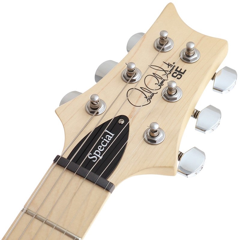 P.R.S. SE Swamp Ash Special (Iri Blue) 画像6