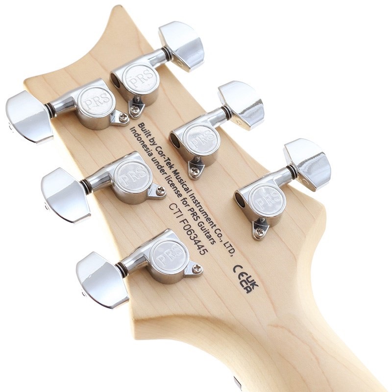 P.R.S. SE Swamp Ash Special (Iri Blue) 画像7