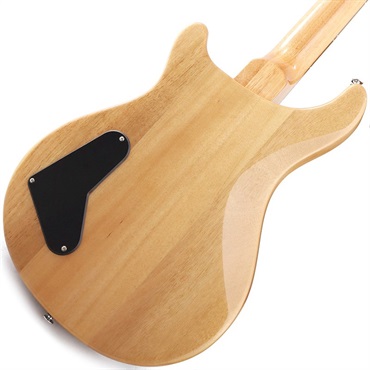 P.R.S. SE Paul's Guitar (Turquoise) ｜イケベ楽器店オンラインストア