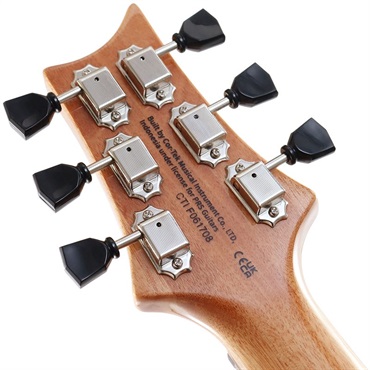 prs se paul's guitar オマケ多数 純正ロックペグ PRS SEに純正ロックペグ付けてみた PRS SE Locking Tuners