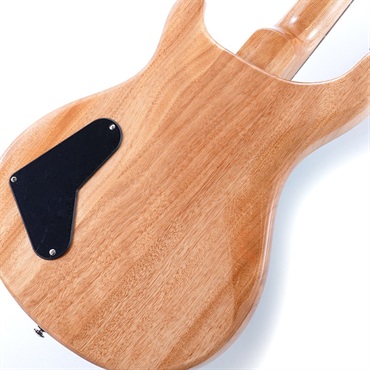 P.R.S. SE Paul's Guitar (Turquoise) ｜イケベ楽器店オンラインストア