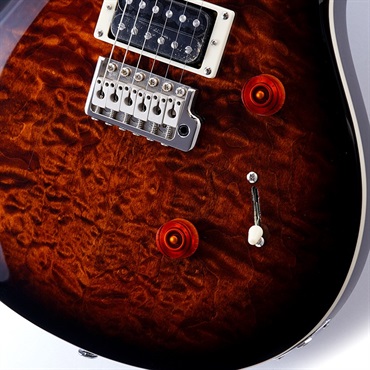 P.R.S. SE Custom 24 Quilt (Black Gold Burst) 画像4