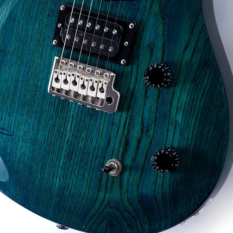 P.R.S. SE Swamp Ash Special (Iri Blue) 画像4