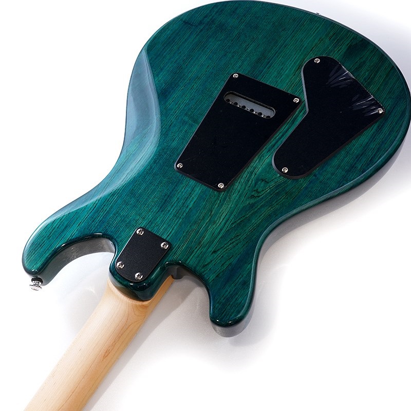 P.R.S. SE Swamp Ash Special (Iri Blue) 画像6