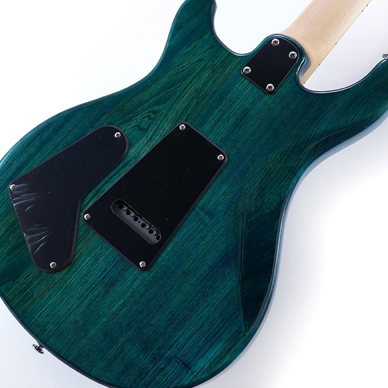 P.R.S. SE Swamp Ash Special (Iri Blue) 画像7