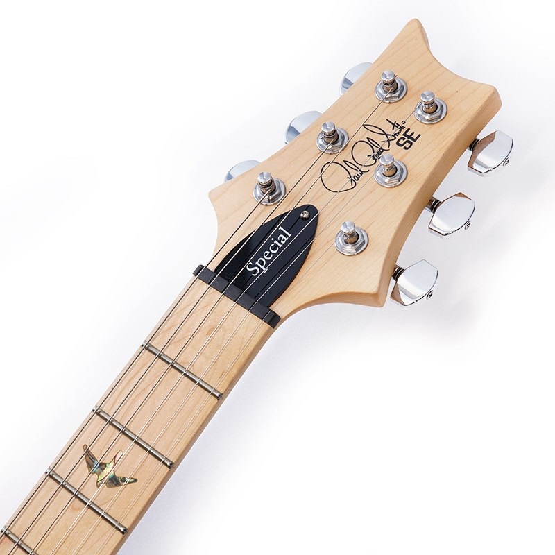 P.R.S. SE Swamp Ash Special (Iri Blue) 画像8