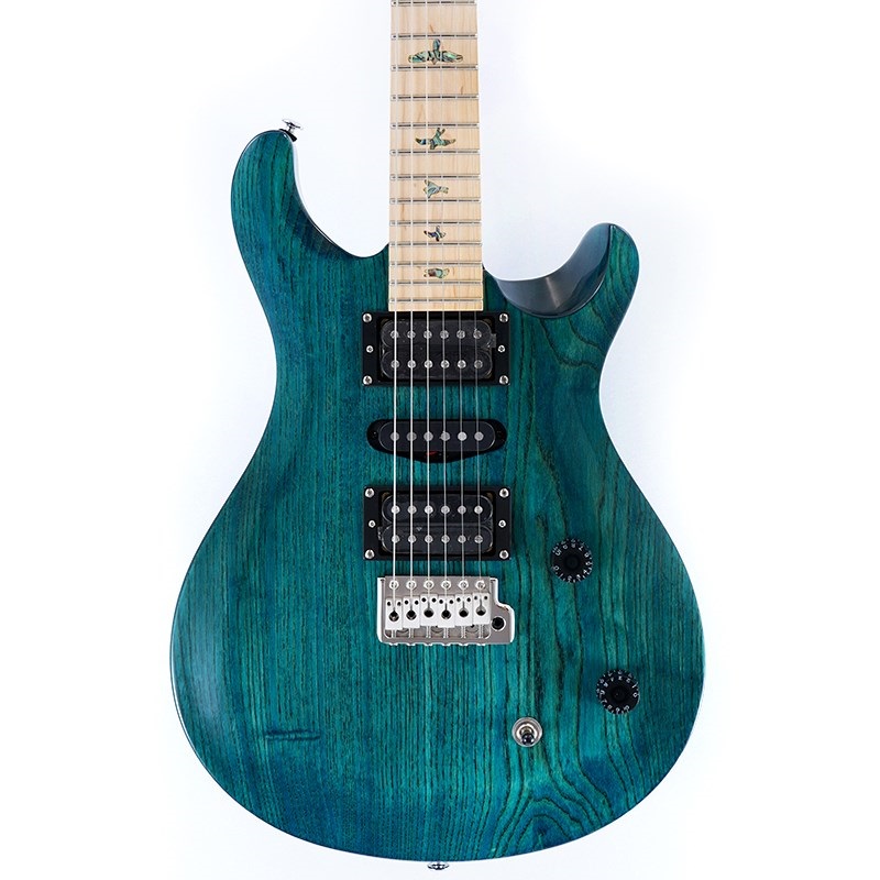 P.R.S. SE Swamp Ash Special (Iri Blue) 画像9