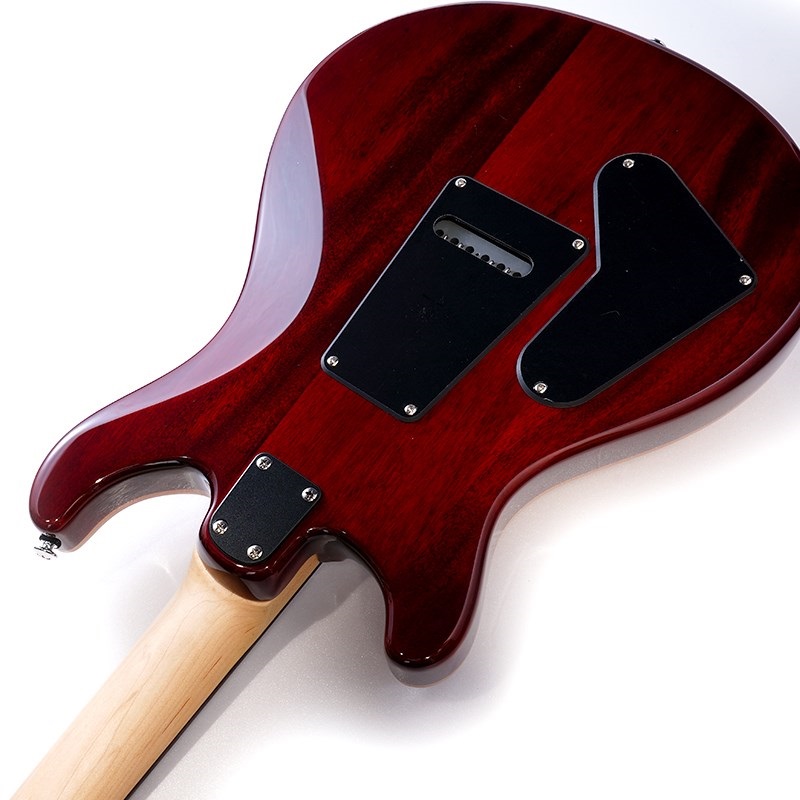 P.R.S. SE CE 24 (Vintage Sunburst) 画像6