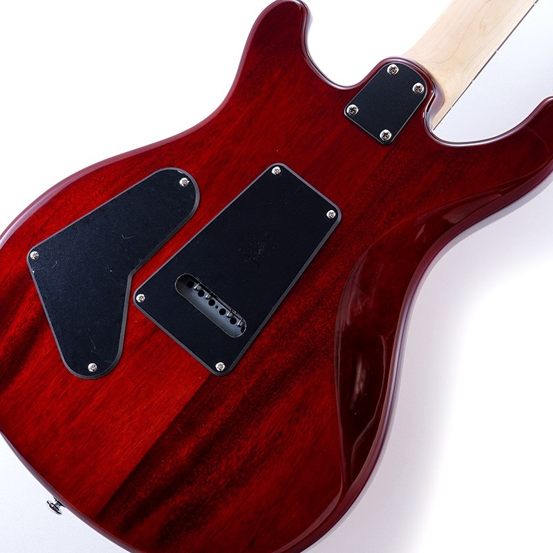 P.R.S. SE CE 24 (Vintage Sunburst) 画像7