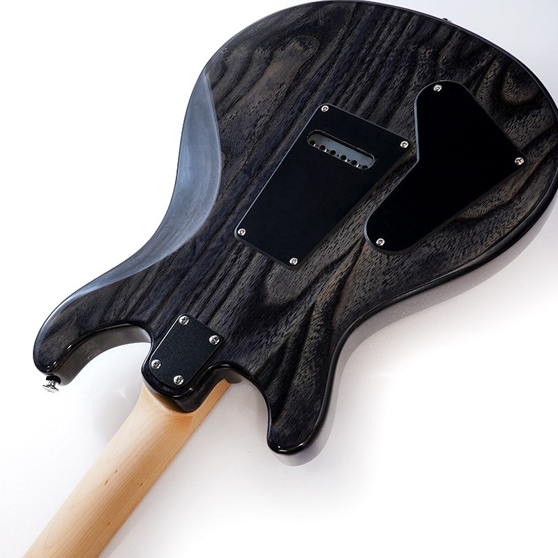 P.R.S. SE Swamp Ash Special (Charcoal) 画像6