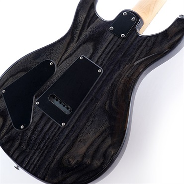 P.R.S. SE Swamp Ash Special (Charcoal) 画像7