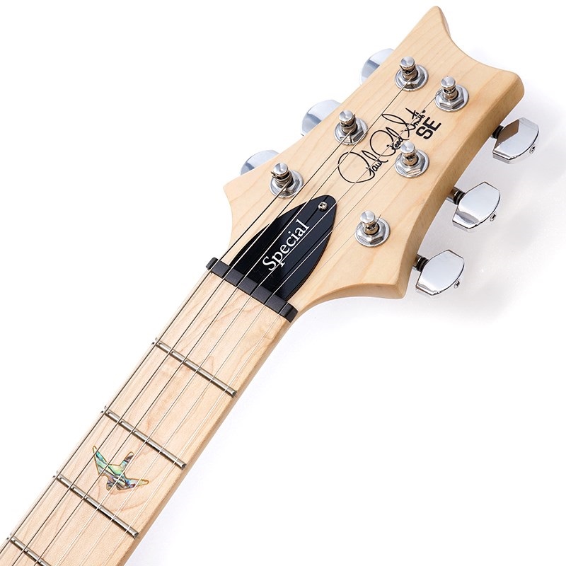 P.R.S. SE Swamp Ash Special (Charcoal) 画像8