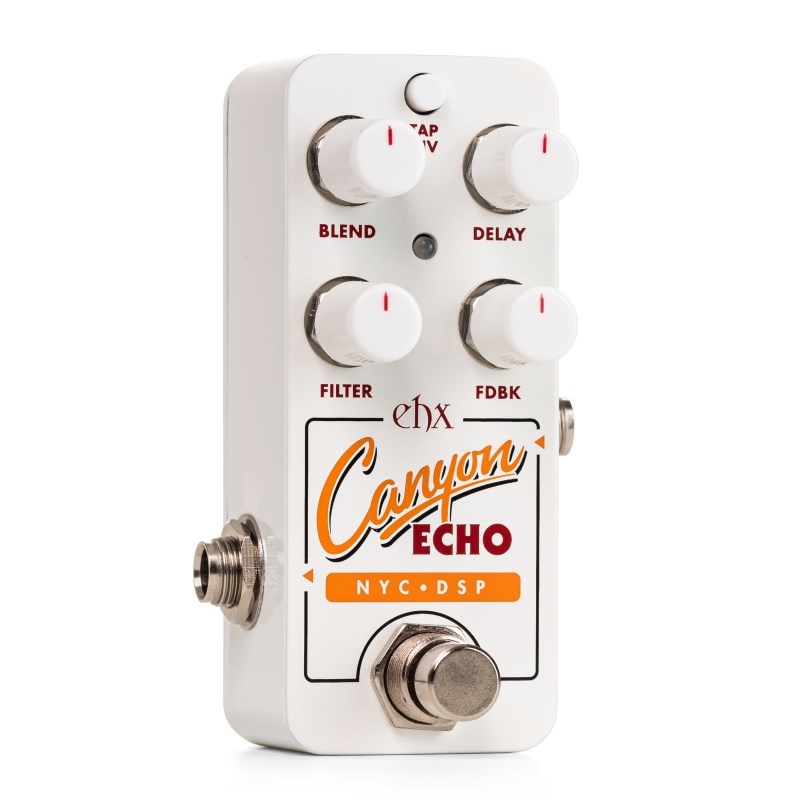 Electro Harmonix PICO CANYON ECHO ディレイ エレハモ 画像1