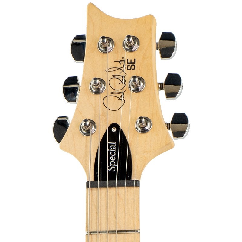P.R.S. SE Swamp Ash Special (Charcoal) 画像5