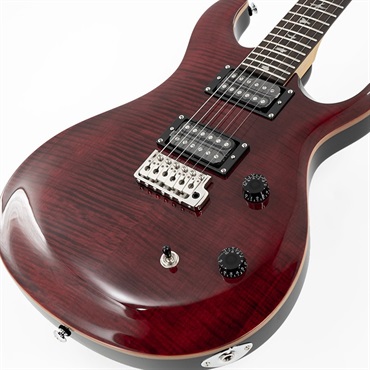 P.R.S. SE CE24 (Black Cherry) 画像6