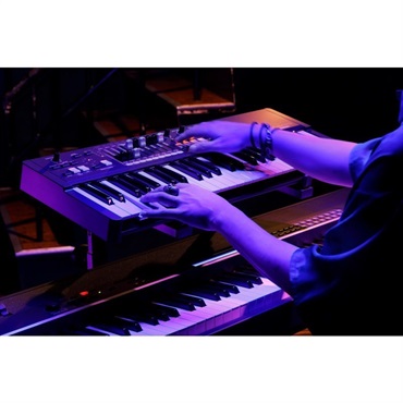 HAMMOND M-solo (49鍵盤・ハモンドドローバーオルガン) 画像8