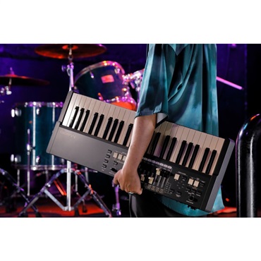 HAMMOND M-solo+専用ソフトケースセット (49鍵盤・ハモンドドローバーオルガン) 画像9