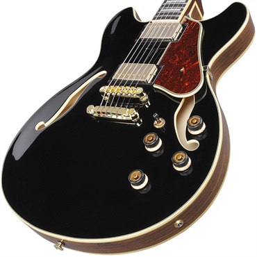 Ibanez Artcore Expressionist AS93BC-BK [SPOT MODEL] 画像2