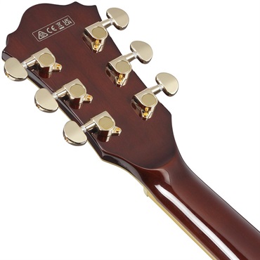 Ibanez Artcore Expressionist AS93BC-BK [SPOT MODEL] 画像5