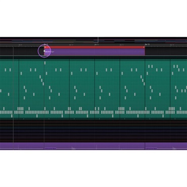Tracktion WAVEFORM PRO 12(代引不可)(オンライン納品) 画像2
