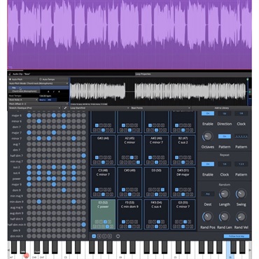 Tracktion WAVEFORM PRO 12(代引不可)(オンライン納品) 画像5