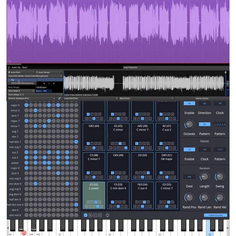 Tracktion WAVEFORM PRO 12(代引不可)(オンライン納品) 画像5