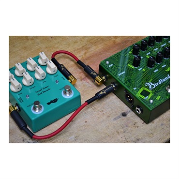 Birdland Birdland Acoustic Preamp 3 バードランド 画像5