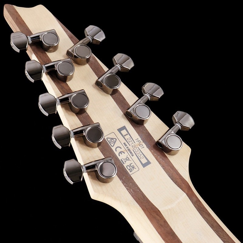 Ibanez Axe Design Lab RG9PB-TGF ｜イケベ楽器店オンラインストア