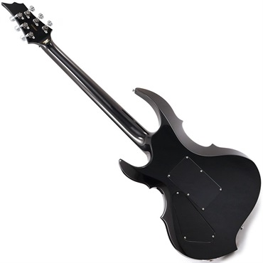 ESP FRX (Glitter Storm Black) 【SN.E2200231】 画像2