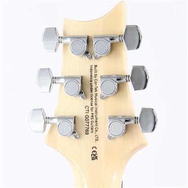 P.R.S. SE Custom 24-08 (Turquoise) 画像8