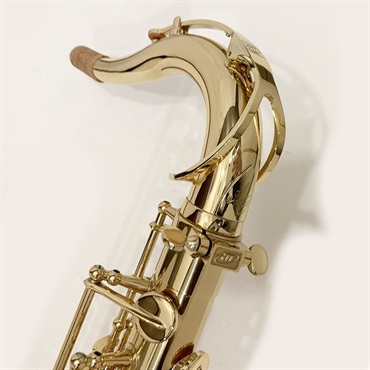 その他ブランド(管楽器・吹奏楽器) iO イオ テナーサックス TS-1085GL S/N:G05xx8 【調整&セットアップ後出荷】【5年間キーバランス調整無料】 画像1