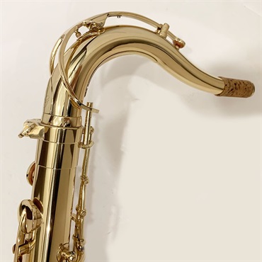その他ブランド(管楽器・吹奏楽器) iO イオ テナーサックス TS-1085GL S/N:G05xx8 【調整&セットアップ後出荷】【5年間キーバランス調整無料】 画像2