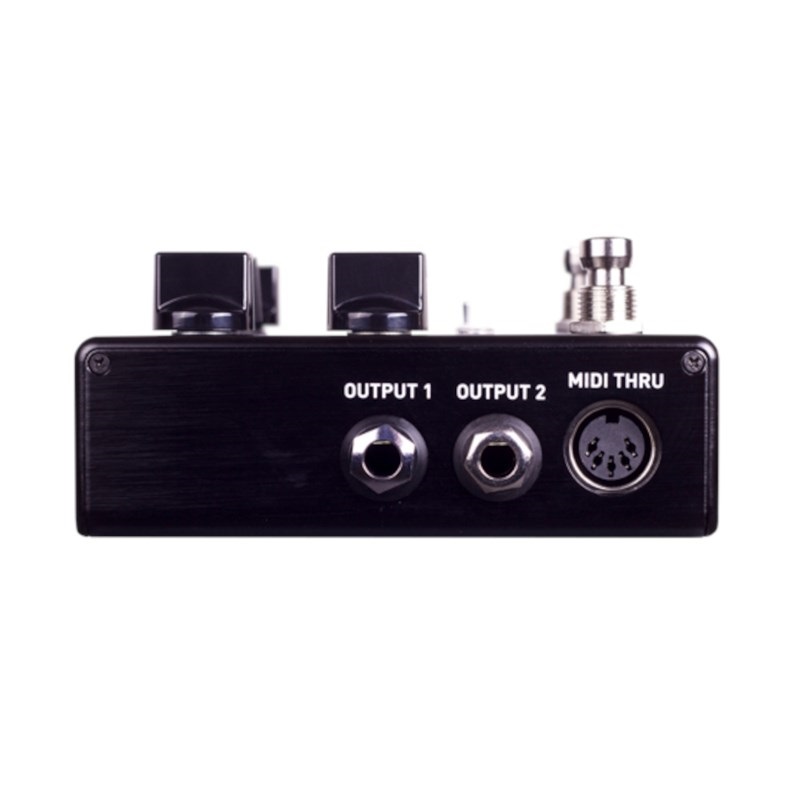 SOURCE AUDIO NEMESIS DELAY ADT 画像2