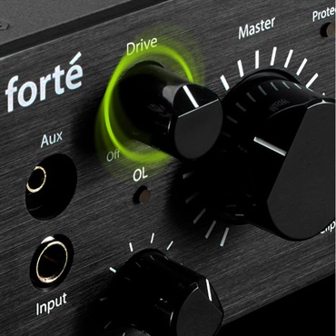 Bergantino forte D 【厳選BASS GEARセール】 画像3