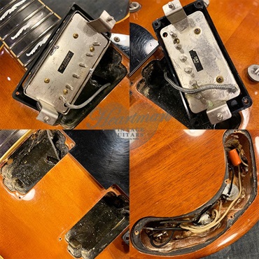 GRECO VINTAGE The Greco Cougar '83 Violin 画像6