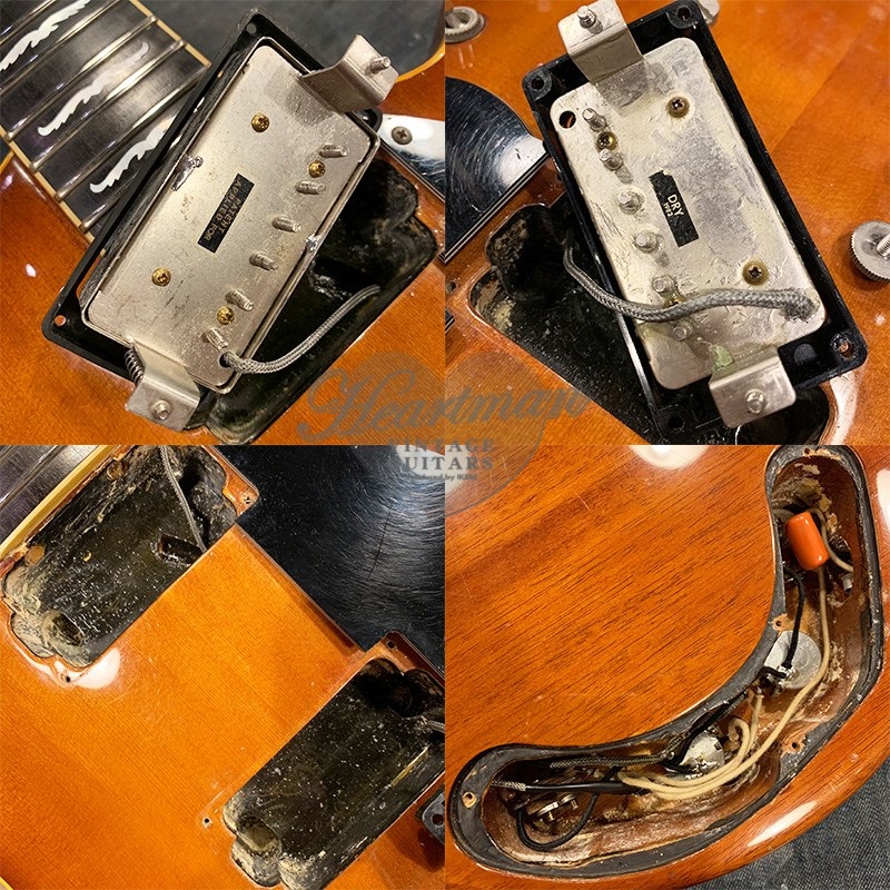 GRECO VINTAGE The Greco Cougar '83 Violin 画像6