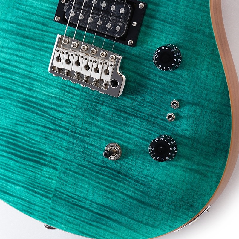 Paul Reed Smith(PRS) SE Custom24 ”Lefty”/Black Gold Burst
