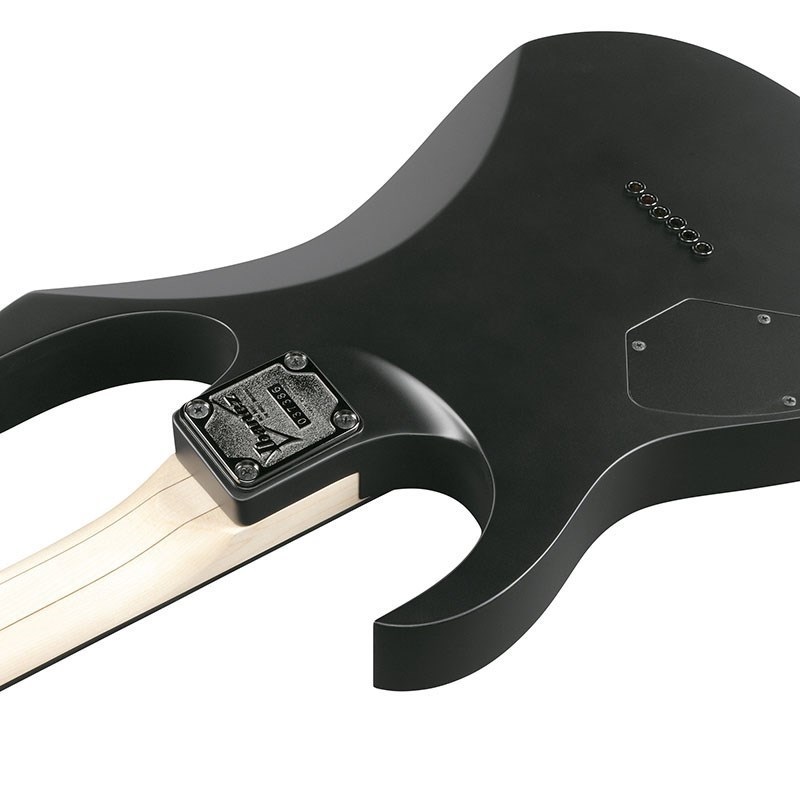 Ibanez RG6HSHFX-BKF 画像3