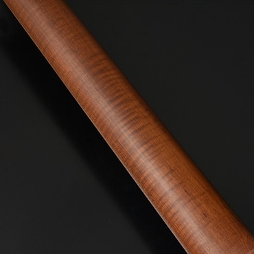 Bacchus Global Series TACTICS24-STD/RSM (OTM) 画像6