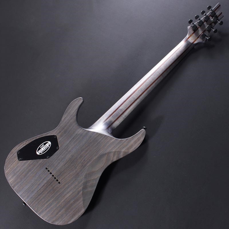 SCHECTER C-7 APOCALYPSE [AD-C-7-APOC] (RG) ｜イケベ楽器店