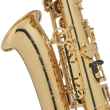 Selmer Paris 【崔勝貴氏選定品】アルトサックス セルマー AXOS（アクソス） Second Generation 画像3