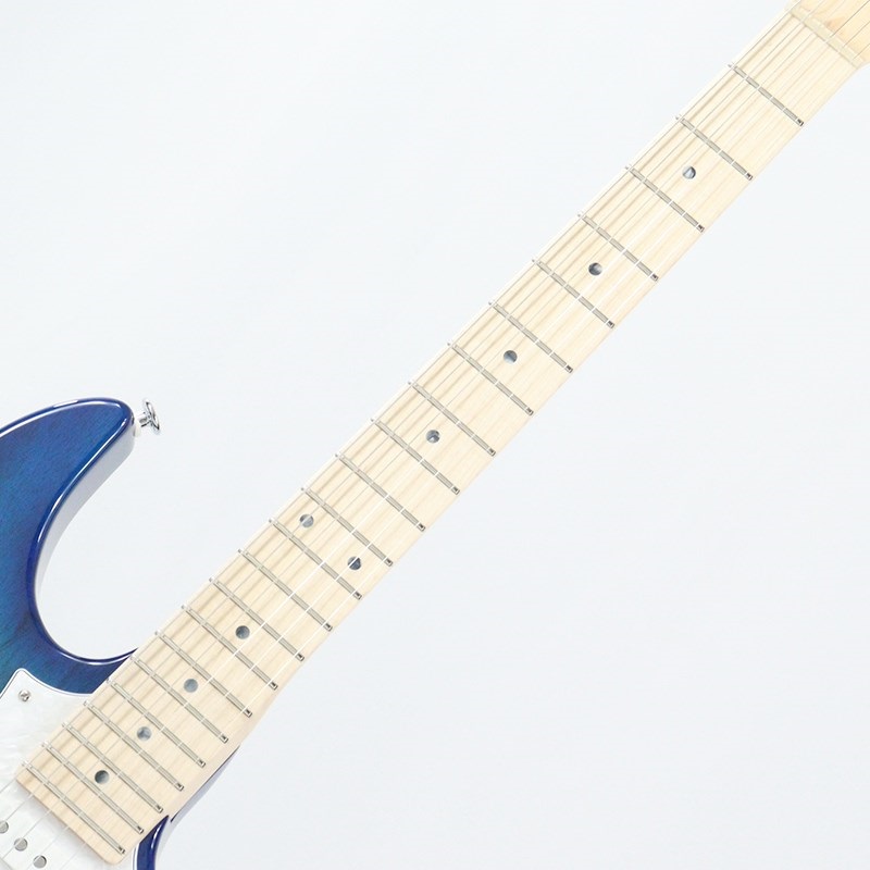 FUJIGEN Expert ODYSSEY EOS2-ASH-M (See-Thru Blue Burst
