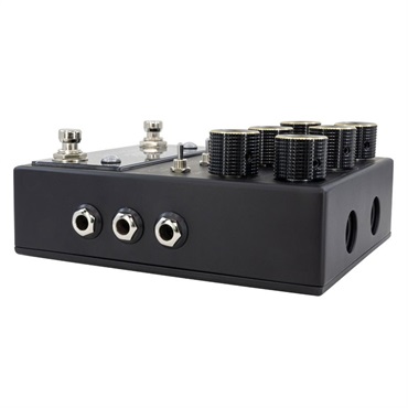 WALRUS AUDIO MERAKI ANALOG DELAY Blacked Out Limited Edition 画像1